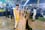 2025 Junior and Seniors Night  | Misamis University Research Center